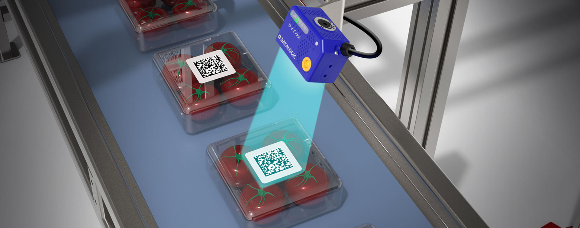 凯时K66·(中国)集团官方网站